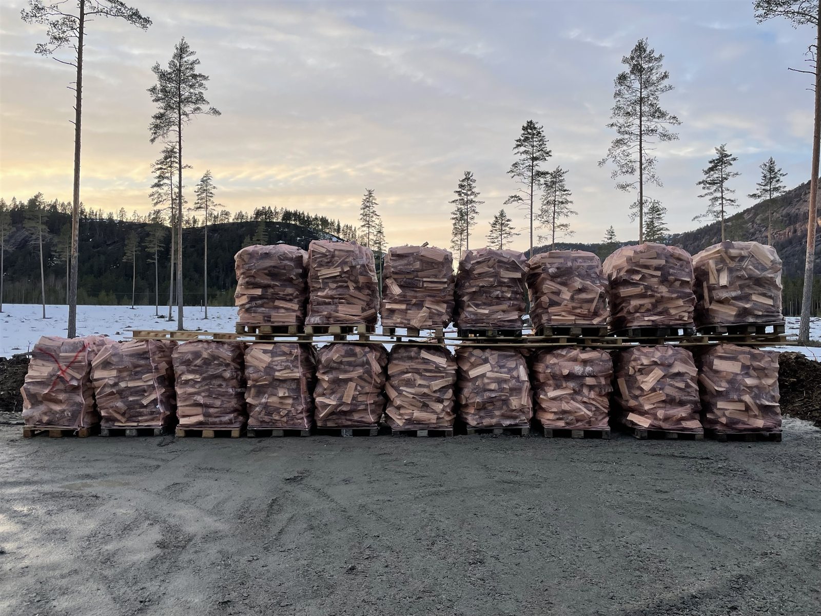 Produsert bjørkeved ved skogkanten